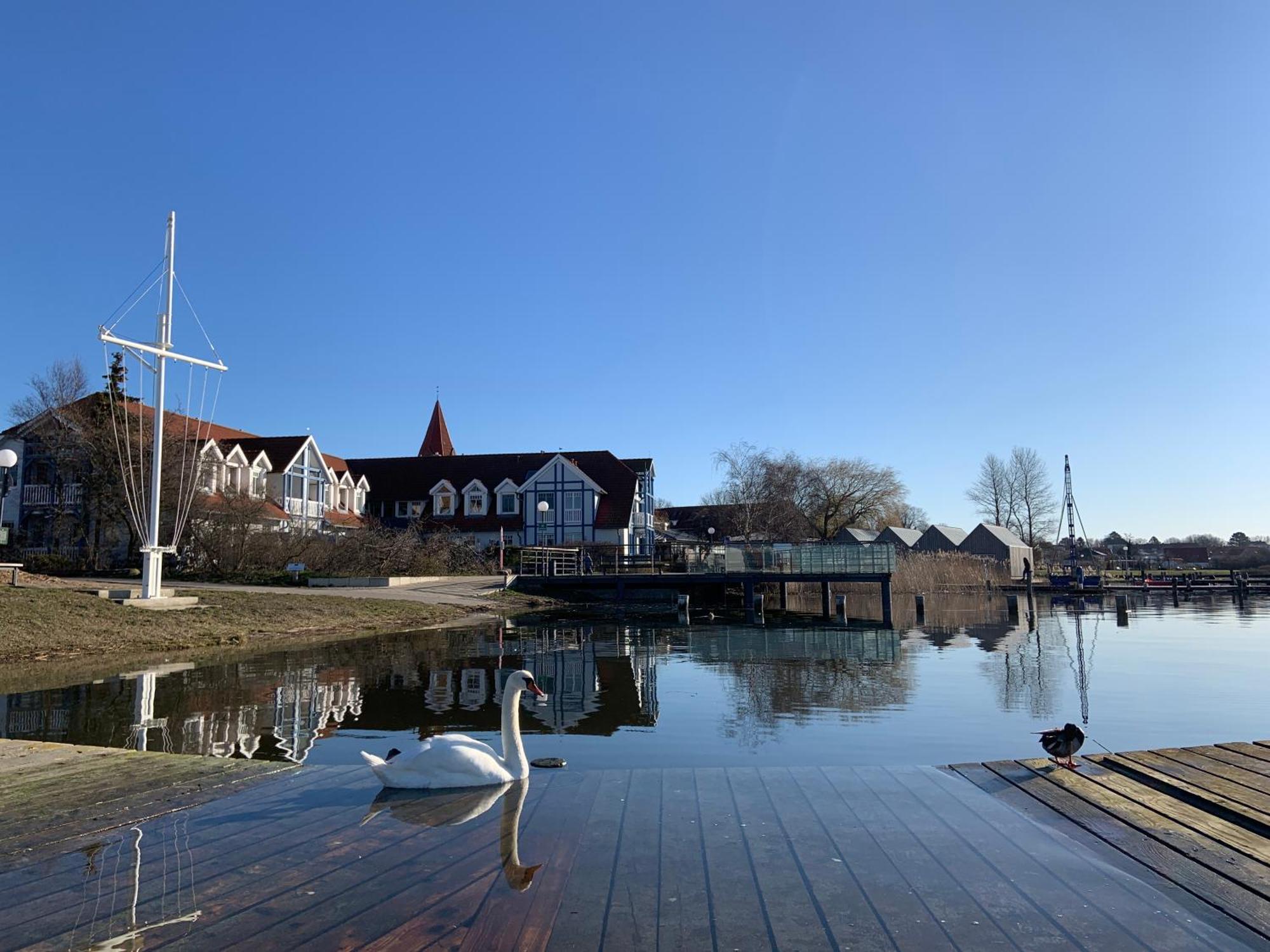 Fewo 27 Strandnahe Ferienwohnung Marlyn Rerik Eksteriør bilde